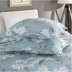 TIOZONEY - Fundas de Almohada esponjosas 2 PCS 50 x70 cm