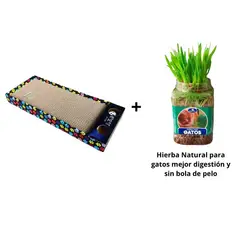 GENERICO - Pack Rascador Bandeja + Hierba Natural Para Gatos