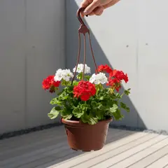 GENERICO - Maceta Colgante de Plástico Clásico - Color Terracota