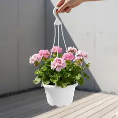 GENERICO - Maceta Colgante de Plástico Clásico - Color Blanco