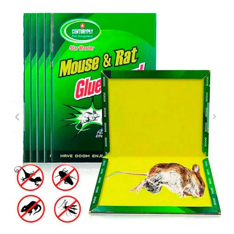 Trampa Adhesiva para Ratas y Ratones Pegamento Extra Fuerte X5