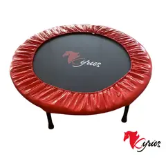 NO LOGO - TRAMPOLIN CON RESORTES DE 105 CM DE DIAMETRO PARA AEROBICOS