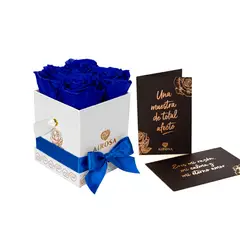AIROSA - Rosas Preservadas Diva - Pack x4 Azul Royal Box Blanco