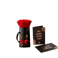 AIROSA - Rosa Preservada Mini - Roja Natural Box Cilíndrico