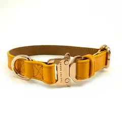THE PET BRAND - Collar para mascotas - Amarillo talla L regulable de 36cm a 58cm