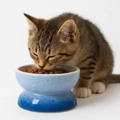 GENERICO - PLATO DE CERÁMICA PARA GATOS MODELO LUNA