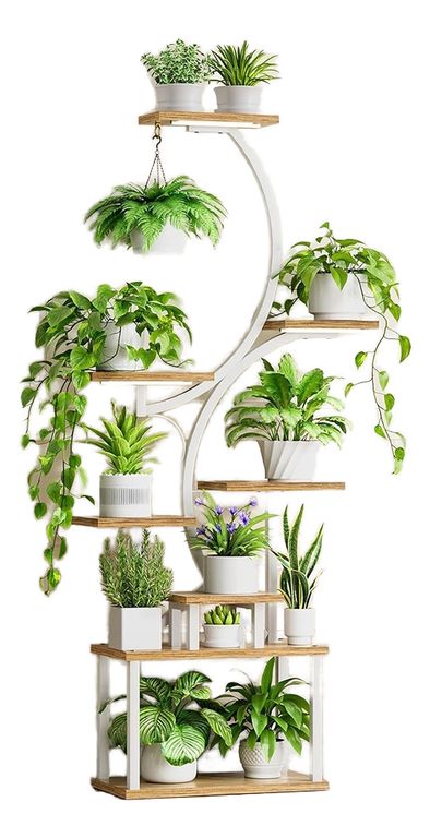 Organizador Repisa Decoración Estante Planta Librero Con Luz