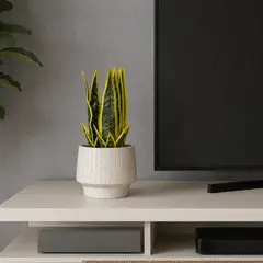 LAR DANIELSEN - Planta artificial artesanal  con macetero tipo acampanado- Lengua de suegra 28 cm
