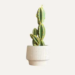 LAR DANIELSEN - Planta artificial con macetero tipo acampanado - Cactus 37 cm.