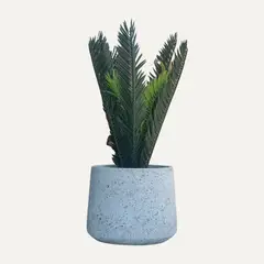 LAR DANIELSEN - Planta artificial con macetero blanco - Cica 39 cm.