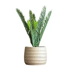 LAR DANIELSEN - Planta artificial con macetero color arena - Cica 39 cm