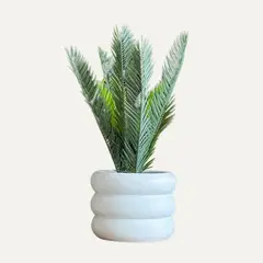 LAR DANIELSEN - Planta artificial con macetero anillado blanco - Cica 39 cm.