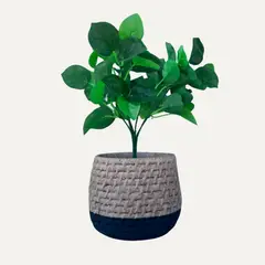 LAR DANIELSEN - Planta artificial con macetero bicolor - Ficus 33 cm.