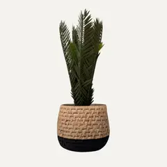 LAR DANIELSEN - Planta artificial artesanal  con macetero bicolor - Cica 39 cm.