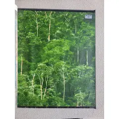 GENERICO - PAPEL TAPIZ DECORATIVO ARBOLES VERDES FORMATO 0.53 X 10.00 M CODIGO A 47