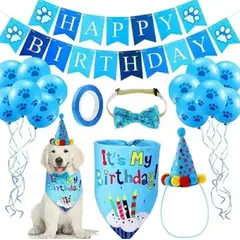GENERICO - Kit cumpleañero para mascotas perros y gatos celeste