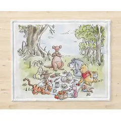 GENERICO - Individuales Picnic x 2 und