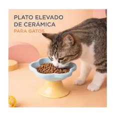 GENERICO - PLATO DE CERÁMICA FLOR - CELESTE