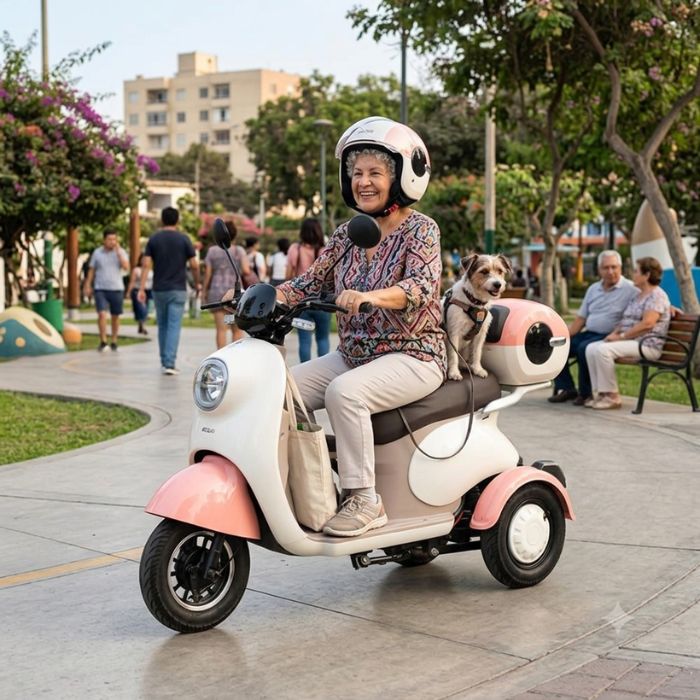 BICIMOTO ELECTRICA S1