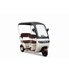 GENERICO - TRIMOTO  ELECTRICA P9 MAX EBIKER