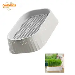 GENERICO - CAJA DE HIERBA GATERA MACETA PARA GATOS - GREY