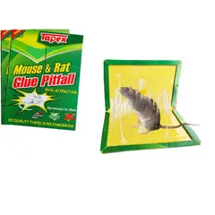 GENERICO - Control De Plagas Pegamento Mouse Roedor Pegamento Adhesivo X 10 und