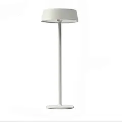 DANWEILE - Luz nocturna ambiental recargable por USB Blanco