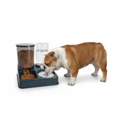 GENERICO - Comedero y Bebedero para Mascotas 2 en 1 con Doble Dispensador Agua y Comida Perros Gatos Azul