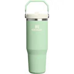 STANLEY - STANLEY ICEFLOW 2.0 FLIP STRAW TUMBLER CON ASA 30 OZ  887 ML - PISTACHIO