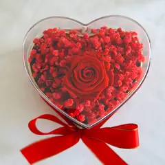 GENERICO - Rosa Eterna Roja en Corazón Acrílico Regalo Día de la Madre