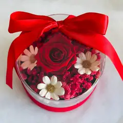 GENERICO - Rosa Eterna Roja en Box Acrílico  Regalo Día de la Madre