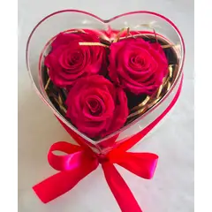 GENERICO - Rosa Eterna Fucsia x3 en Corazón Acrílico  Regalo Día de la Madre