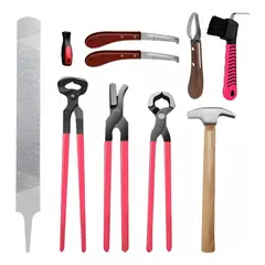 QUICK - Kit De Herramientas Para Herrar Caballos Pinza Para Cascos