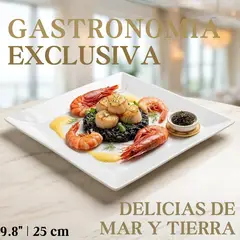 Ichimatsu - Plato Tendido de Loza 9.8" - 25 cm - Caja 12 Piezas