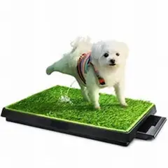 GENERICO - BAÑO ECOLOGICO PORTATIL PARA MASCOTAS  63 X 50 X 6 CM