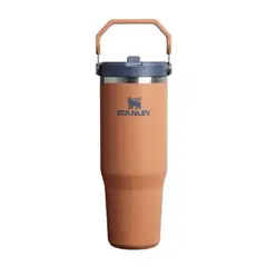 STANLEY - Tumbler Vaso de acero inoxidable Stanley IceFlow 2.0 30 oz - Toast