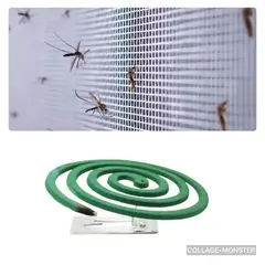 PREMIUM - Repelente Mata Insectos Zancudos Mosquito 50 Uds
