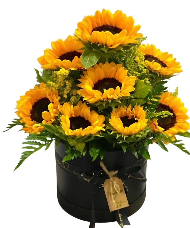 Arreglo Floral de Girasoles Naturales en Box Negra Elegante para Regalo