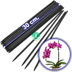 GENERICO - Tutor De Bambú 30cm. (x 24 Und.) - Plantas & Orquídeas