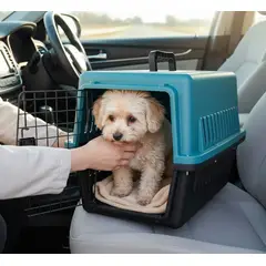 GENERICO - Transportador de Mascota Canil Kennel mediano Premium 48 x 32 x 30 cm VERDE AZULADO Y NEGRO