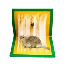 GENERICO - 5  Trampas para Ratas y Ratones adhesivo Pegamento Extra Fuerte