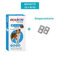 BRAVECTO - Antipulgas Bravecto para perros de 20 - 40 kg + ENDAL