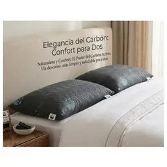 GENERICO - PACK DE ALMOHADAS GEMELAS CARBON ACTIVADO PREMIUM  TAMAÑO 2 PLAZAS