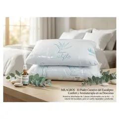 GENERICO - PACK DE ALMOHADAS GEMELAS AROMATICA EUCALIPTO PREMIUM  TAMAÑO 2 PLAZAS