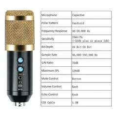 SEISA - Micrófono de Condensador Profesional USB de Estudio SEISA BM-858BP