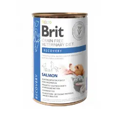 BRIT - BRIT GRAIN FREE VETERINARY DIET RECOVERY LATA 400 GR