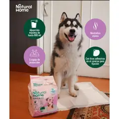 NATURAL HOME - Pañales de Piso Barker Natural Home para Perros – 24 Unidades (60 x 60 cm)
