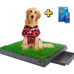 GENERICO - Baño Para Perros Ecológico Portátil Grande Pet Potty Con Bandeja L + Educador 60ml