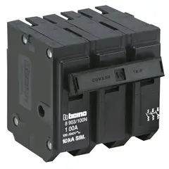 BTICINO - Interruptor Termomagnético 3x100A