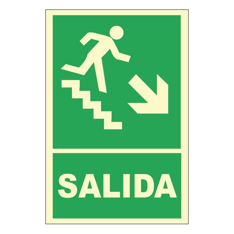 Señal de Escalera Abajo Derecha Fotoluminiscente 20x30 cm.